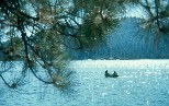 Shaver Lake