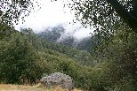 Mist above the Chowchilla River, Mariposa County