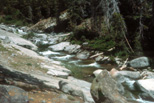 Bear Creek's rocky channel�