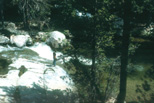 Bear Creek