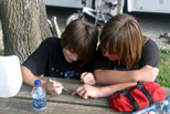 Dissecting a pollywog