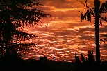 Sunrise 1, Fresno CA