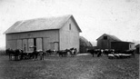 K.K. Watkins (on wagon) at the H.B. Mann farm